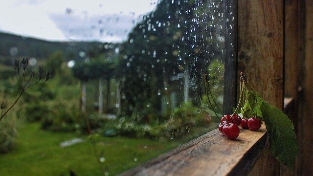Window Rain Glass Water Rainy  - Shlomaster / Pixabay