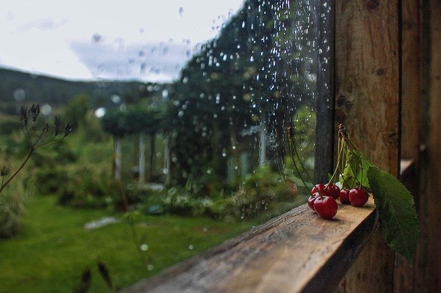 Window Rain Glass Water Rainy  - Shlomaster / Pixabay